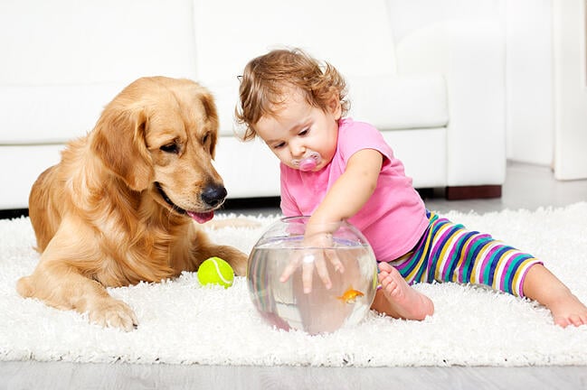 Young_girl_with_goldfish