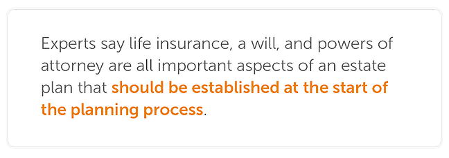 Experts say life insurance, a will, and  powers of attorney are all important aspects of an estate plan that should be established at the start of the planning process.