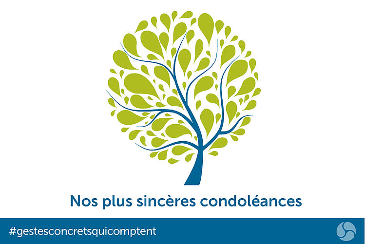 Nos plus sincères condoléances