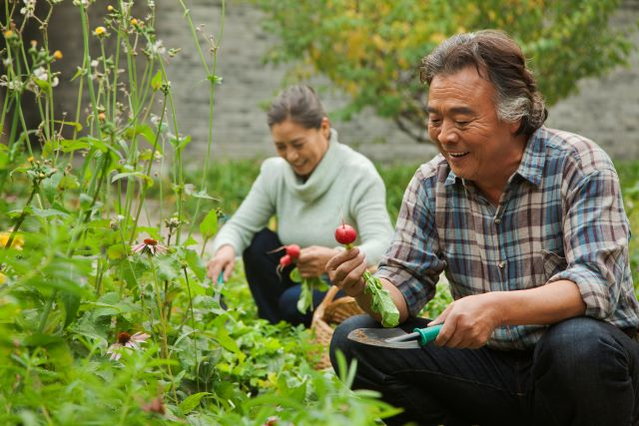 5 tips for financial success in later life