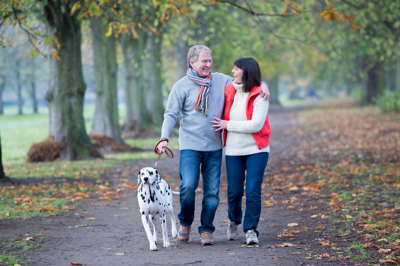 Un couple d’âge mûr se promène dans un boisé en se souriant et en riant tout en promenant son chien dalmatien. Ils portent des vêtements chauds pour une journée fraîche d’automne.