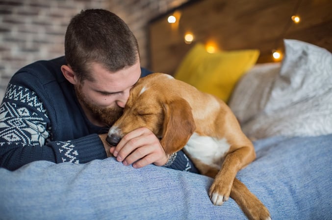 Young man laying on the bed with his dog